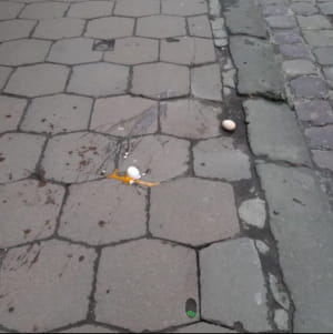 Акция за права женщин