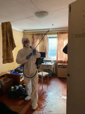 Дезинфекция в общежитии 
