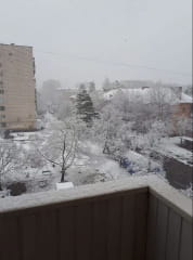 Снег в Киеве