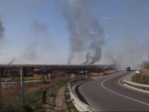Горить Нижньодністровський національний парк 