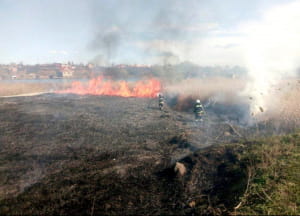 Горить Нижньодністровський парк