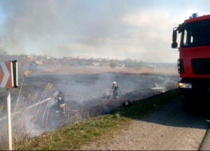 Горить Нижньодністровський парк