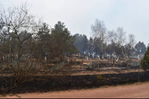 Пожар в Житомирской области