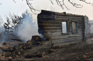 Пожар в Житомирской области