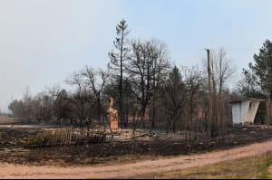 Пожар в Житомирской области