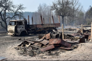 Пожар в Житомирской области