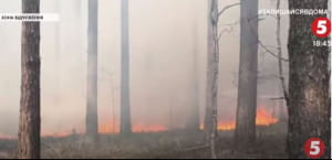 Пожежі в Чорнобильській зоні