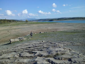 Сімферопольське водосховище