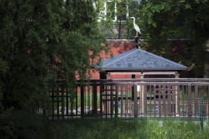 Киевский зоопарк
