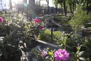 Киевский зоопарк