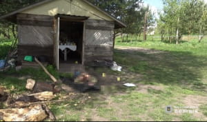 Масова стрілянина на Житомирщині 