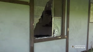 Масова стрілянина на Житомирщині 