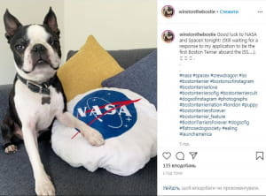 В ожидании запуска Falcon 9 
