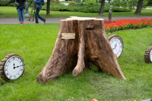 Виставка "Аліса в країні див"
