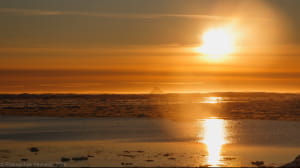 Антарктида