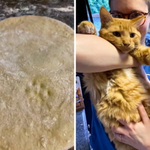 Це було тісто