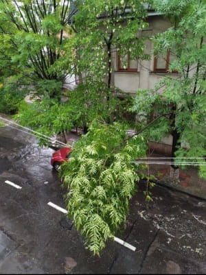 Шторм у Львові