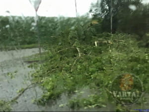 Шторм у Львові