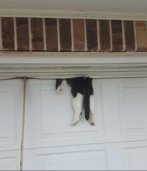 Не хвилюйтеся, з ним все гаразд