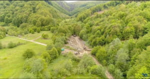 Обсяги незаконних вирубок лісу на Закарпатті