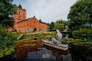 Замок Радомышль 