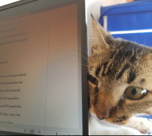 "Ты еще долго будешь работать?"