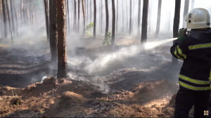 Пожар в Луганской области