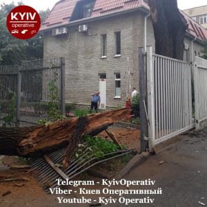 Ураган в Киеве