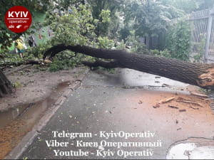 Ураган в Киеве
