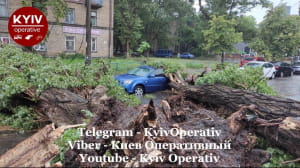 Ураган в Киеве