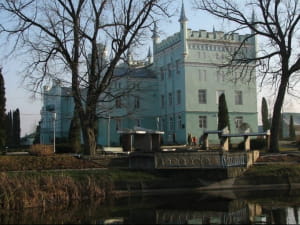 Палац Вороніна, Білокриниця