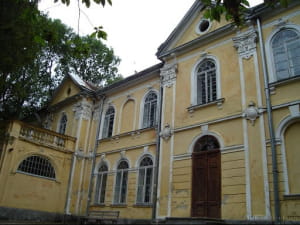 Палац Фредра, Вишня