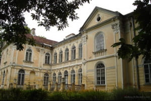 Палац Фредра, Вишня