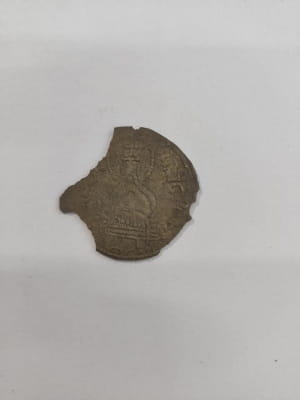 На Житомирщине нашли серебряные монеты времен Киевской Руси