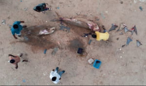 Drone Photo Awards 2020