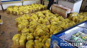 Подкуп избирателей продуктовыми наборами