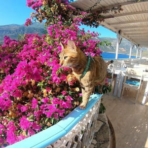 Анталія, Туреччина