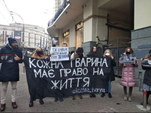 У Києві активісти вийшли на захист тварин