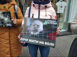 У Києві активісти вийшли на захист тварин