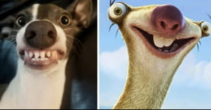 Чарівна посмішка