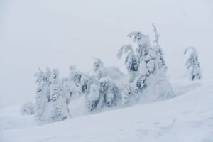 Зимние Карпаты