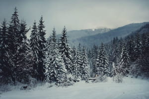 Зимние Карпаты