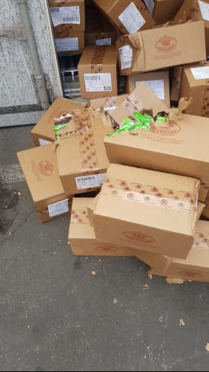 Кошка в контейнере