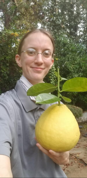Лимон Пандероза