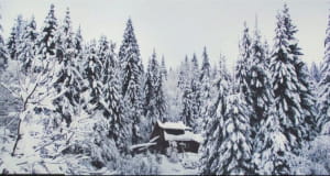 Карпати