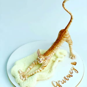 Супер торты