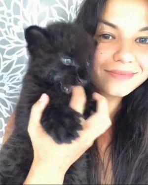 Пантера Луна