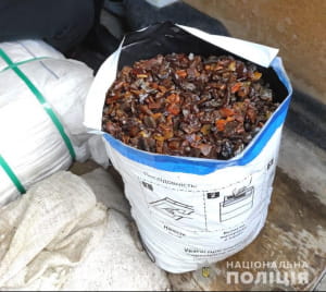 Вилучений бурштин