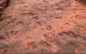 танцмайданчик динозаврів