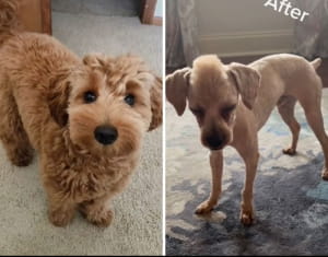 Очікування vs реальність